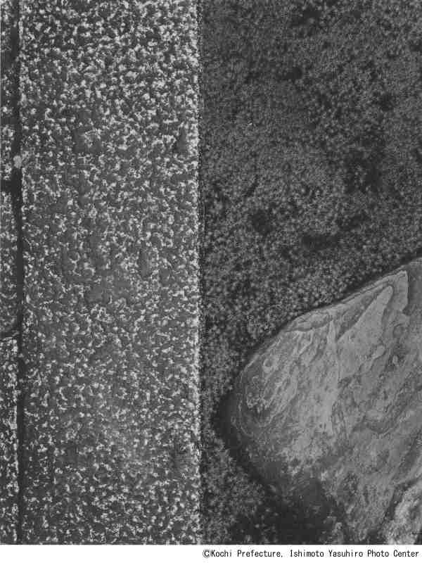 【9】石元泰博《桂離宮 御輿寄前庭 延段と飛石》1953,54年、高知県立美術館蔵